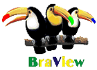 Braview