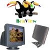 Assist&ecirc;ncia T&eacute;cnica Braview - Monitores
